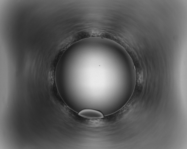 X0000094940666200711291354