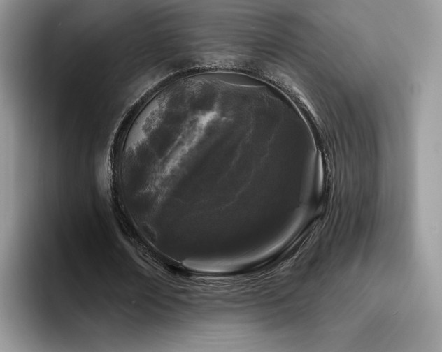 X0000094940674200711291354