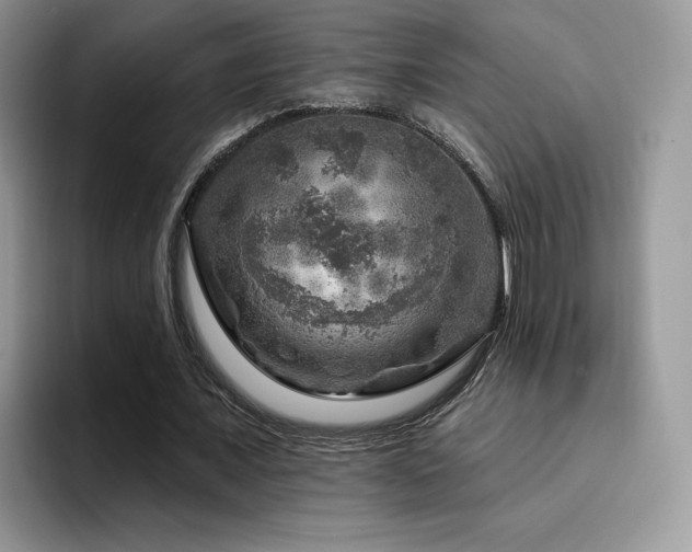 X0000094940675200711291354