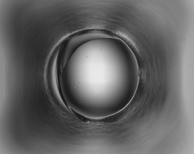 X0000094940676200711291354