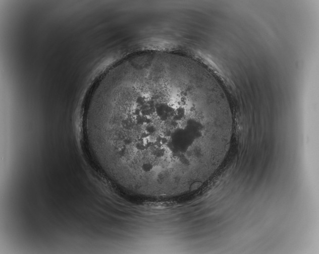X0000094940679200711291354