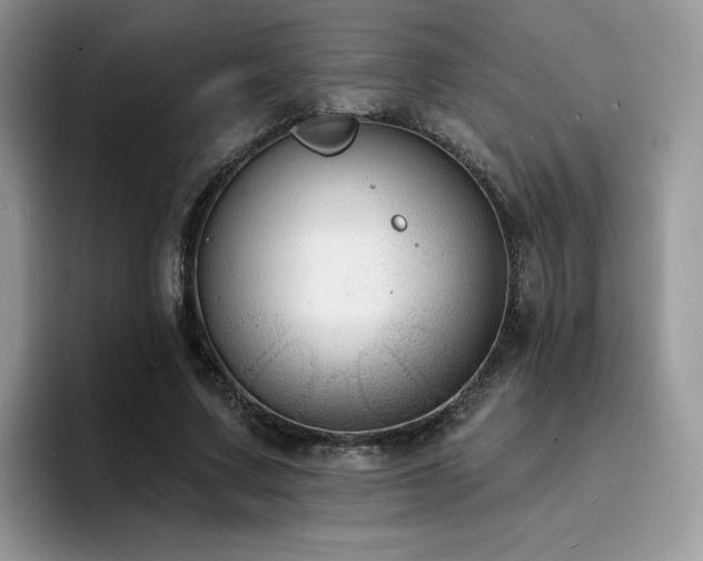 X0000094940683200711291354