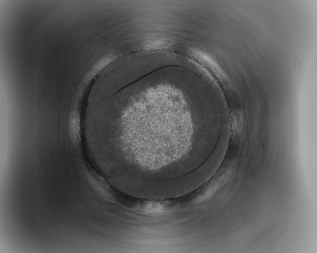 X0000094940684200711291354