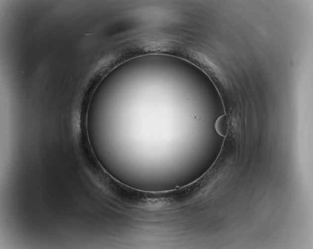 X0000094940686200711291354