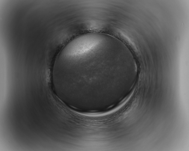 X0000094940689200711291353