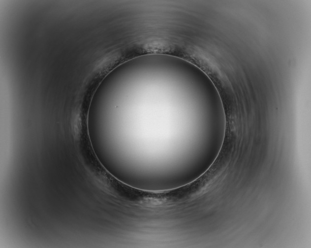 X0000094940690200711291353