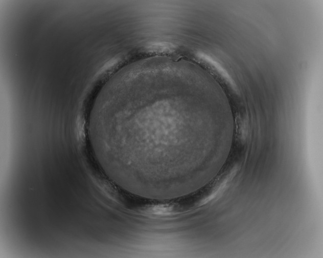 X0000094940692200711291353