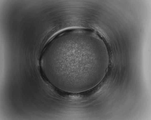 X0000094940693200711291353
