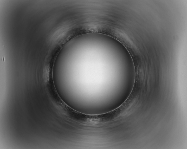 X0000094940694200711291353