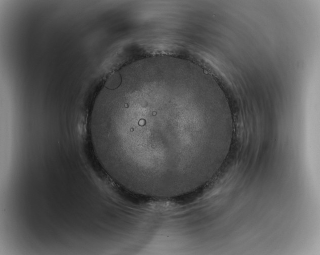 X0000094940695200711291353