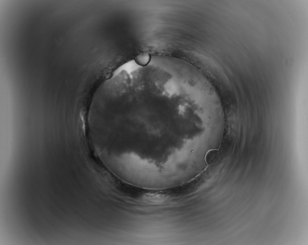 X0000094940699200711291353