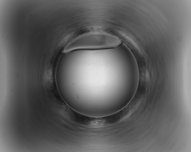 X0000094940700200711291353