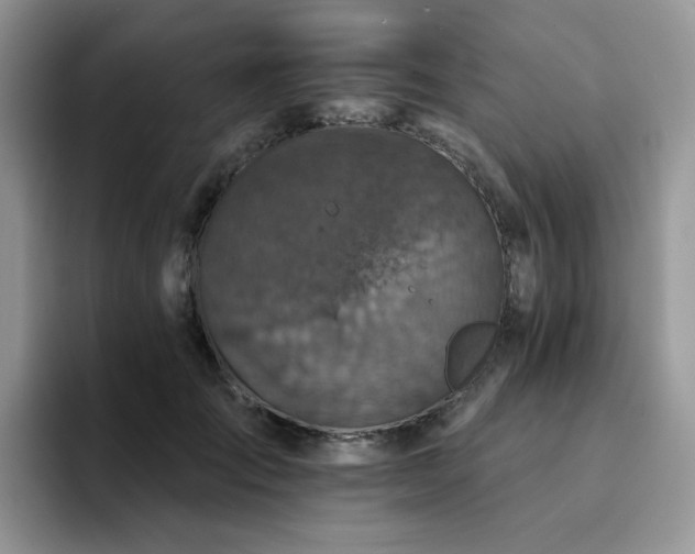 X0000094940701200711291353