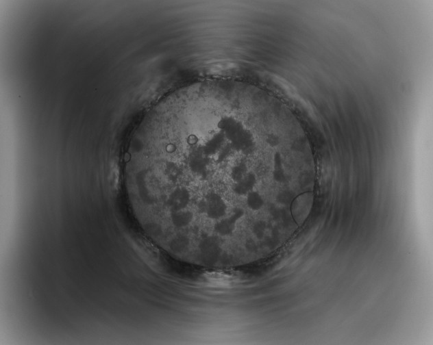 X0000094940703200711291353