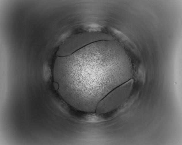X0000094940704200711291353