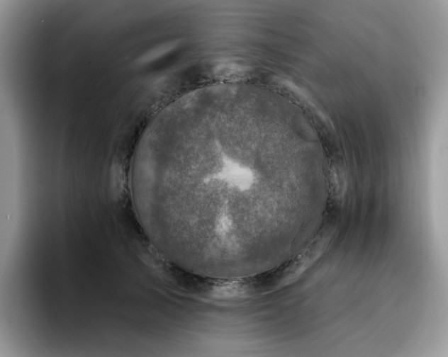 X0000094940705200711291353
