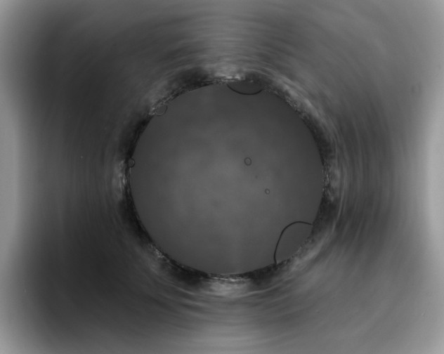 X0000094940707200711291353