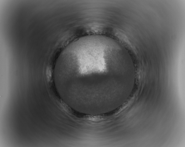 X0000094940709200711291353