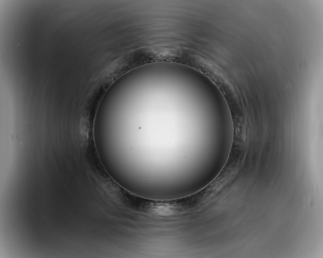 X0000094940710200711291353
