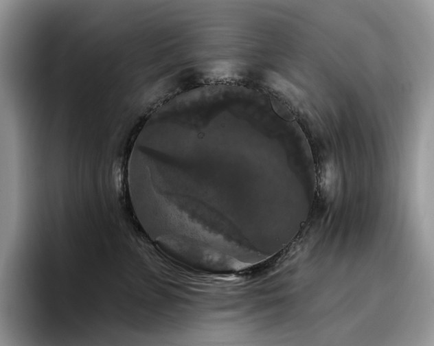 X0000094940715200711291353