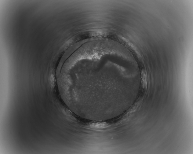 X0000094940716200711291353