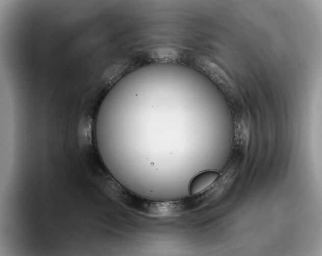 X0000094940717200711291353