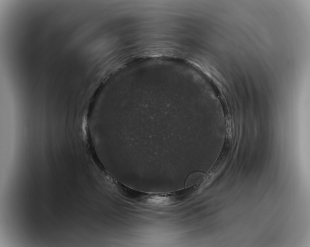 X0000094940718200711291353