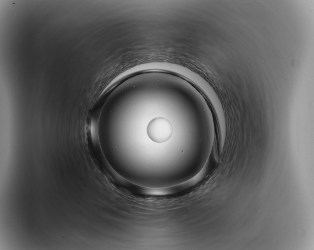 X0000094940720200711291353