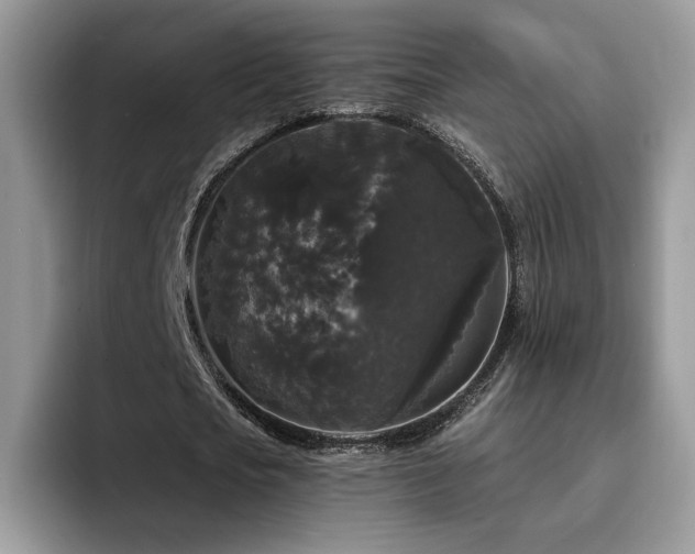 X0000094940721200711291352