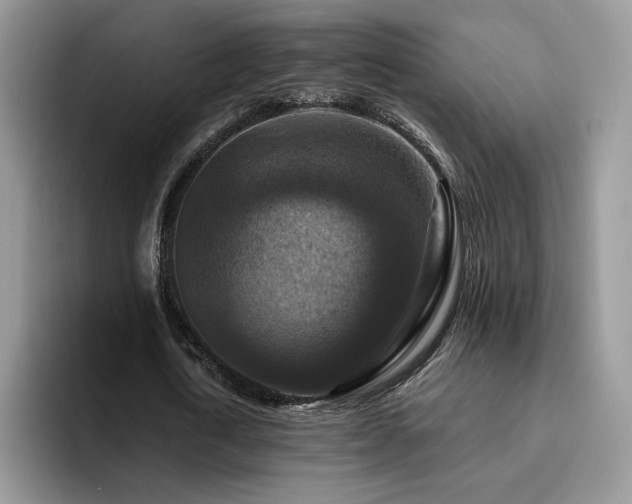 X0000094940722200711291352