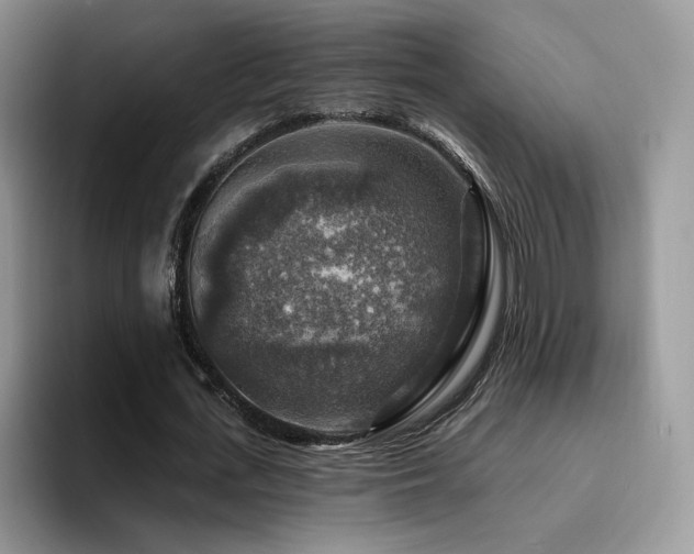 X0000094940723200711291352
