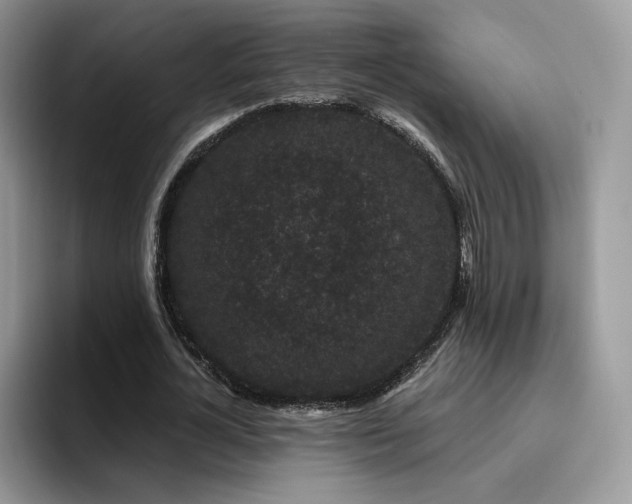 X0000094940724200711291352