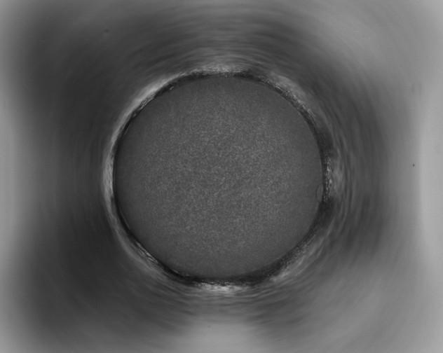 X0000094940726200711291353