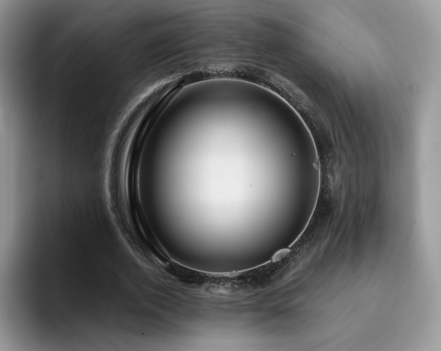 X0000094940728200711291353