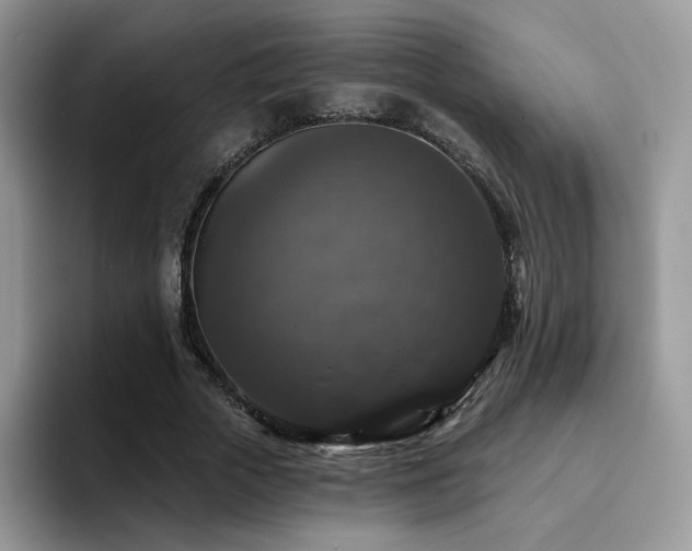 X0000094940729200711291353