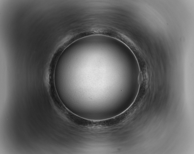 X0000094940730200711291353