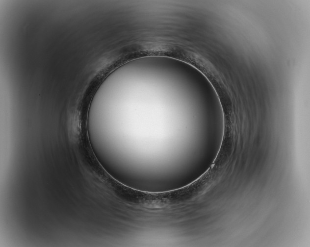 X0000094940731200711291353
