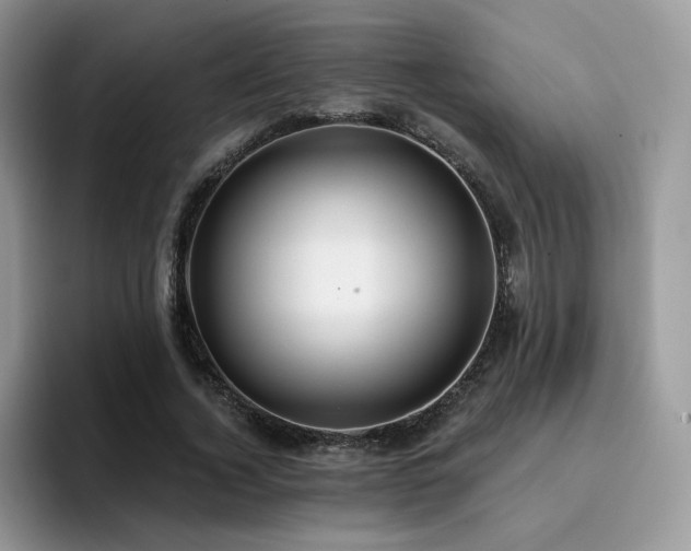 X0000094940732200711291353