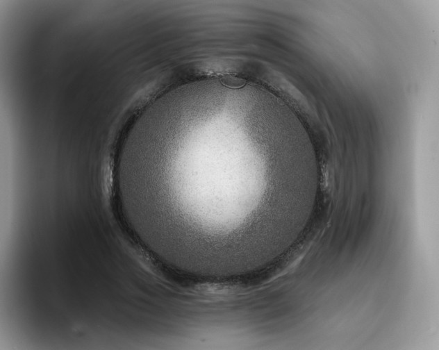 X0000094940733200711291353