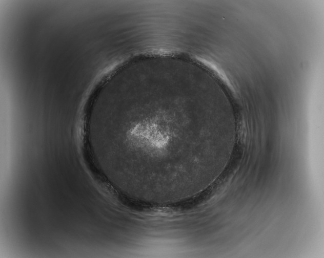 X0000094940736200711291353