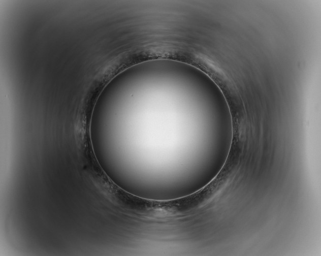 X0000094940737200711291353