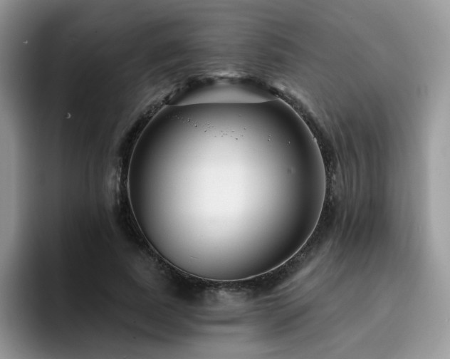 X0000094940739200711291353