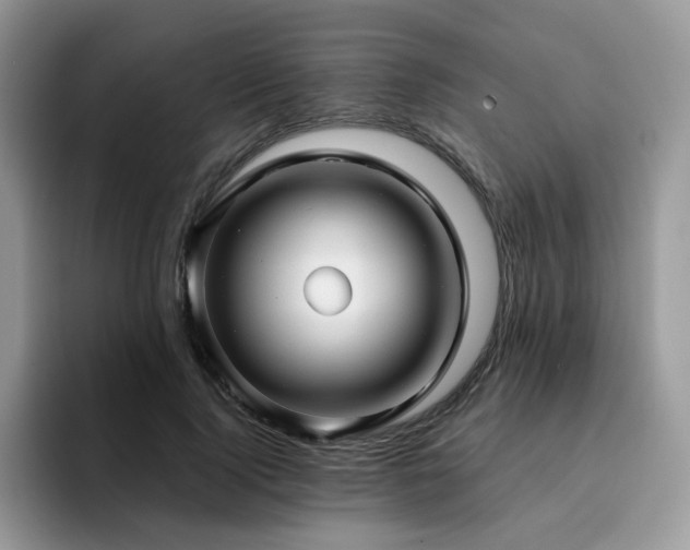 X0000094940740200711291353
