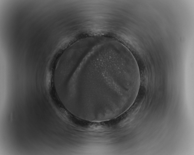 X0000094940742200711291353