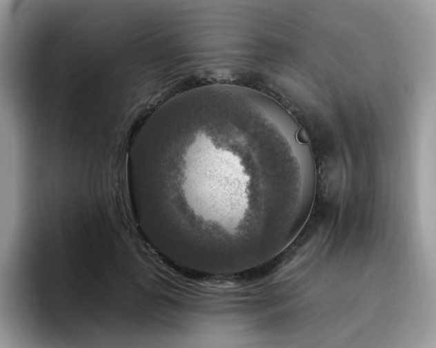 X0000094940747200711291353