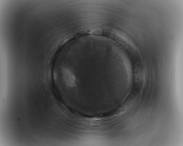 X0000094940748200711291353