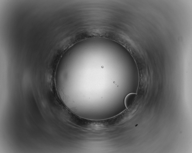 X0000094940749200711291353