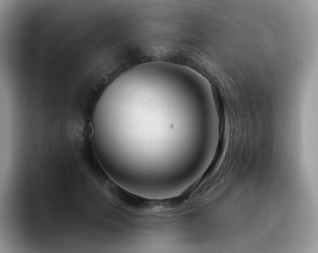 X0000094940750200711291353