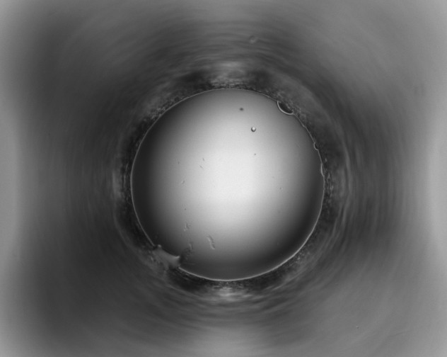 X0000094940755200711291353