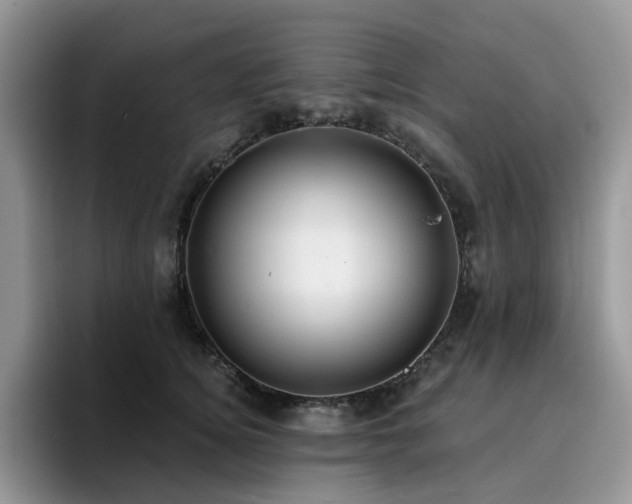 X0000094940756200711291353